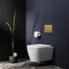 Arezzo Compact Concealed Cistern With Brushed Brass Flush Plate - Round Buttons